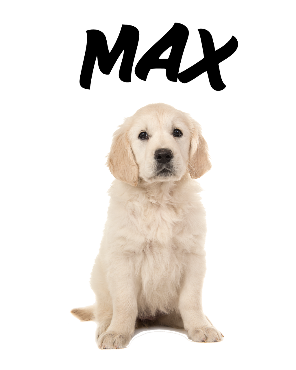 Personalised Pet Photo T-Shirt