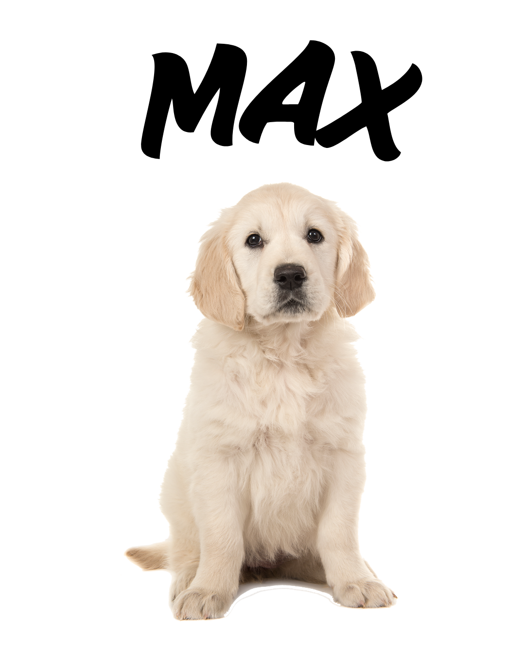 Personalised Pet Photo T-Shirt